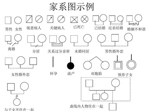 家庭圖關係線|家系圖怎麼畫？多種方法來教你！